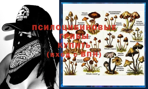 ГАЛЛЮЦИНОГЕННЫЕ ГРИБЫ Богданович