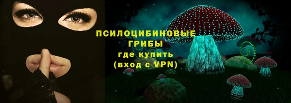 амф Бородино