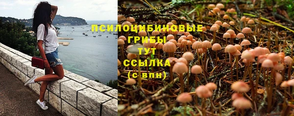 мефедрон Богородицк