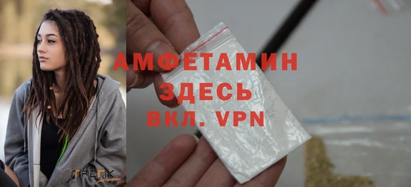 ГАЛЛЮЦИНОГЕННЫЕ ГРИБЫ Богданович