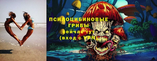apvp Бронницы
