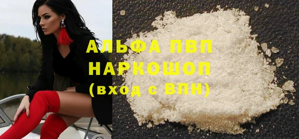 ГАЛЛЮЦИНОГЕННЫЕ ГРИБЫ Богданович